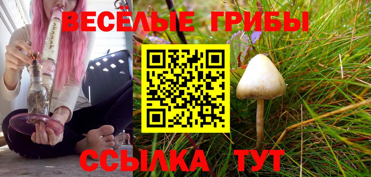 Элиста  Псилоцибиновые грибы Psilocybe  Вход с VPN  Галлюциногенные грибы MAGIC MUSHROOMS 
